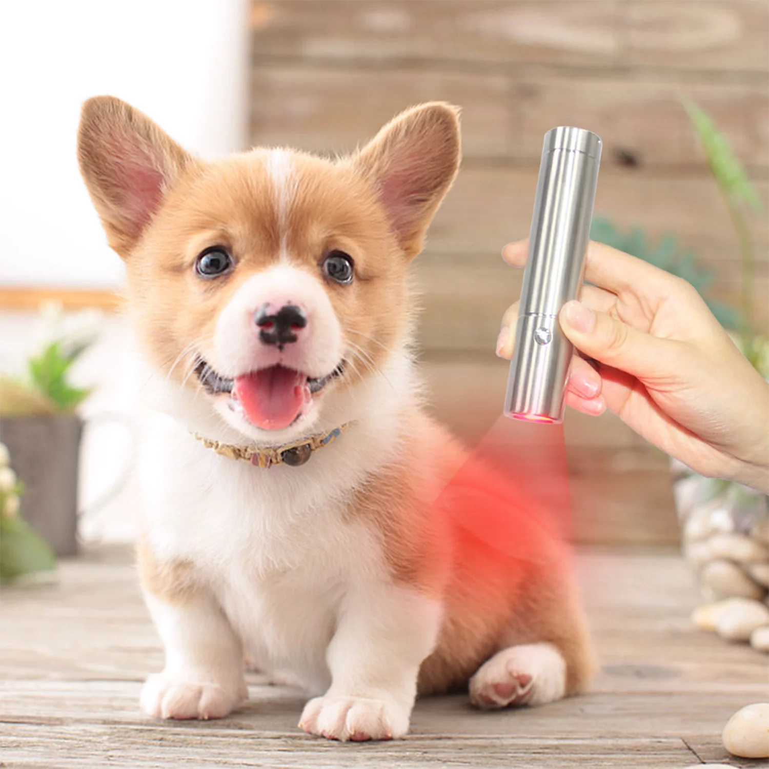 flashlight red light