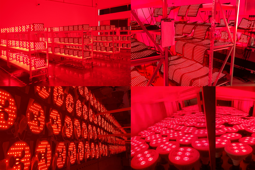 red light therapy devices manufacturer